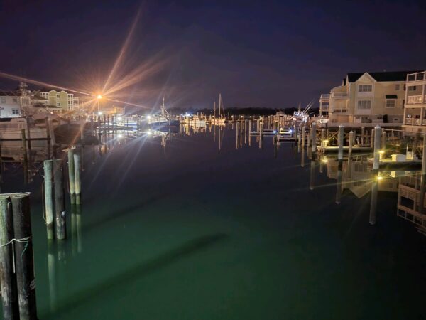 Evening on the harbor