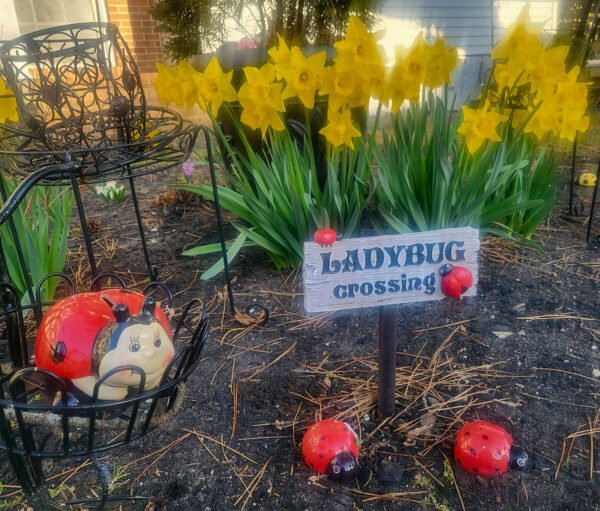 Ladybug Crossing