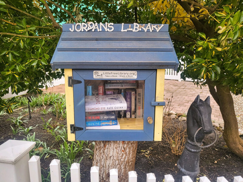 Blue and yellow painted wood cabinet with a see-through door. Inside are books. On the pitched roof are white letters that spell Jordan's LIbrary. A sign reads "littlefreelibrary.org. take a book, share a book"