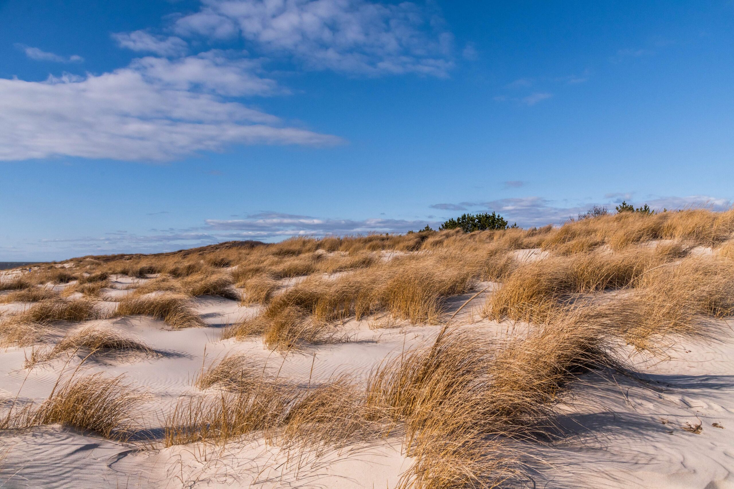 A hill of dunes and sand with a bright blue sky and a few thin puffy white clouds