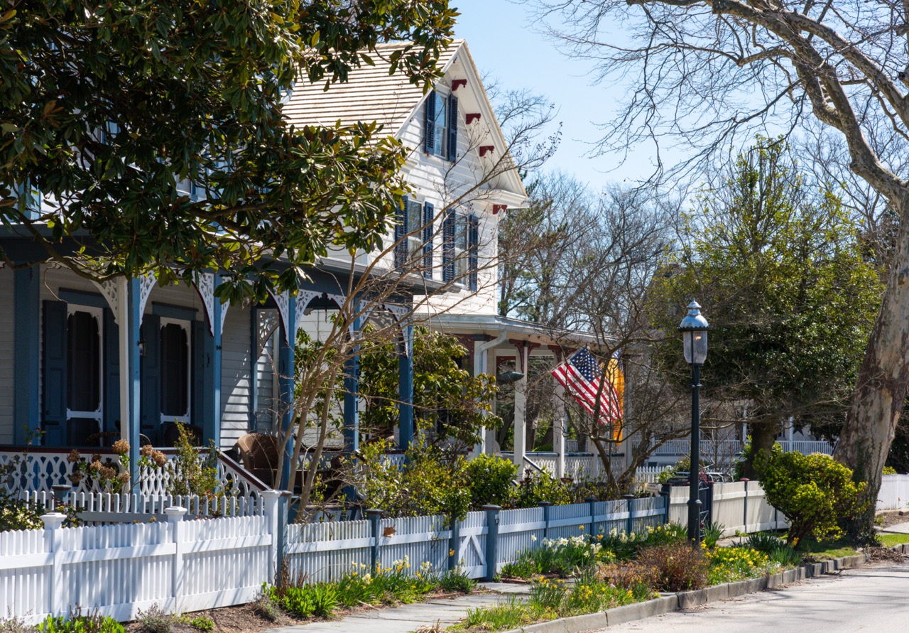 Flowers are Blooming on Franklin Street