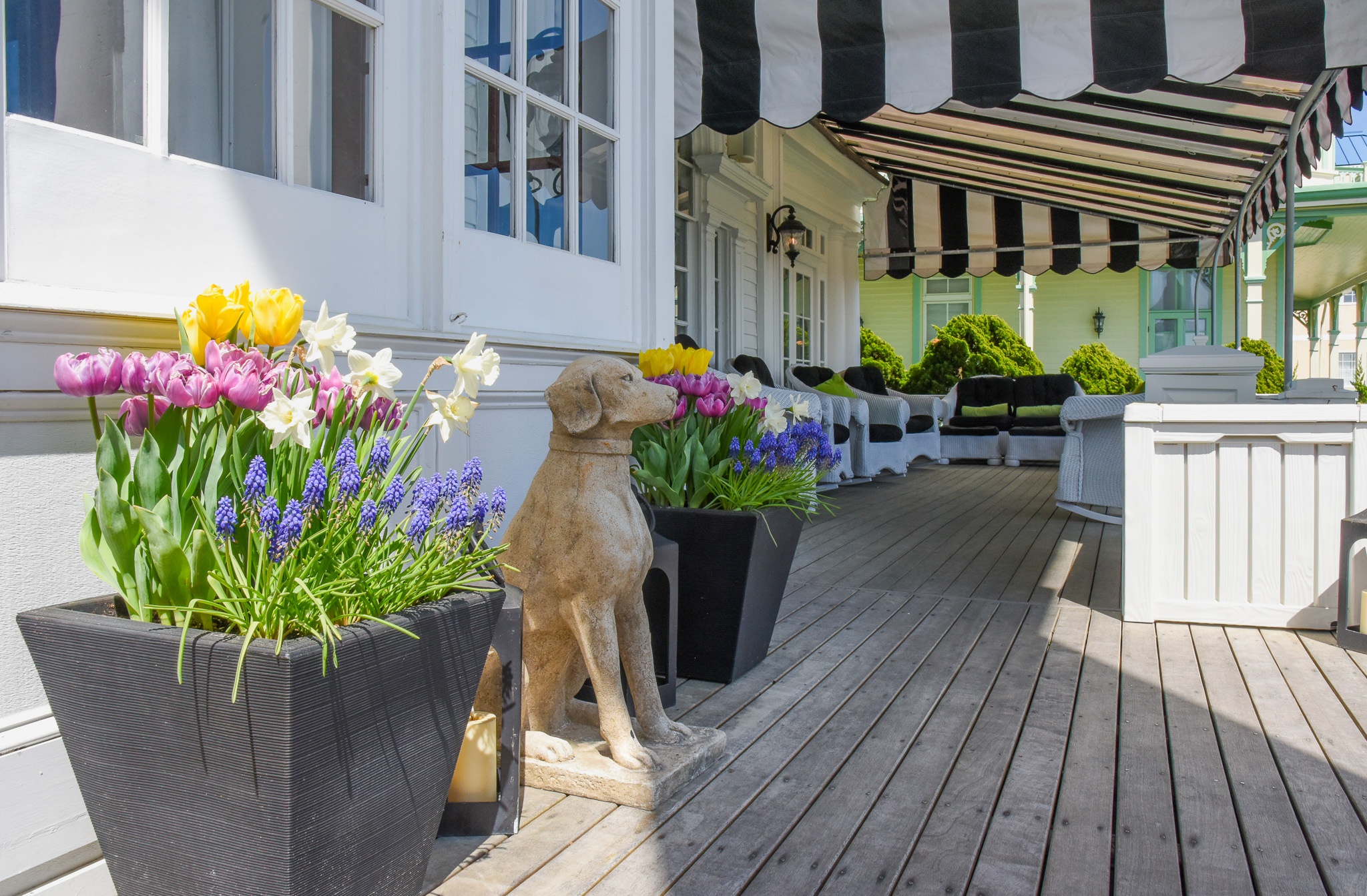 Guarding the Steps of Peter Shields Inn