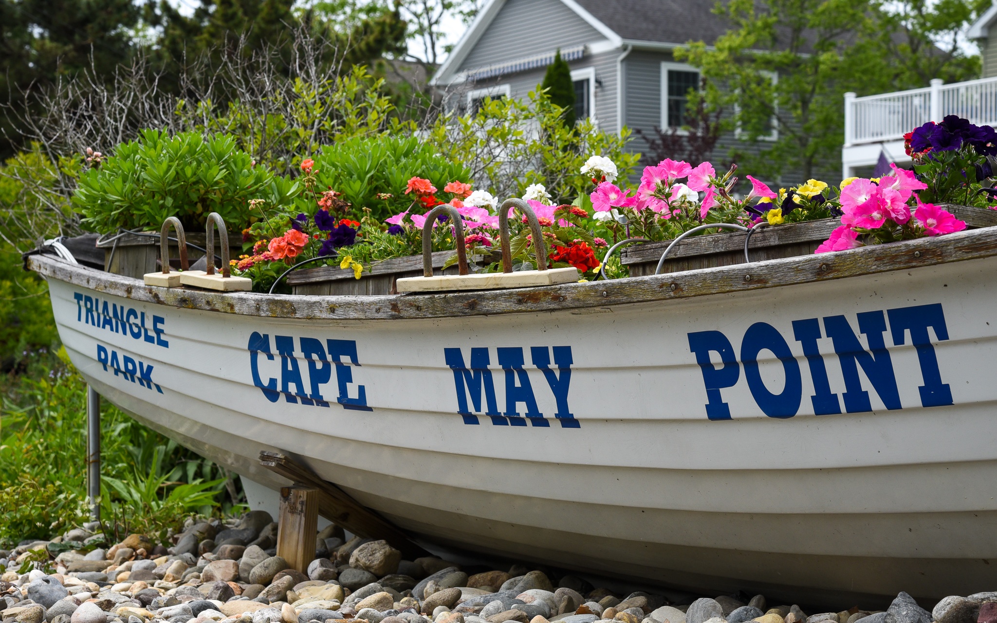 Triangle Park in Cape May Point boat with flowers in it.
