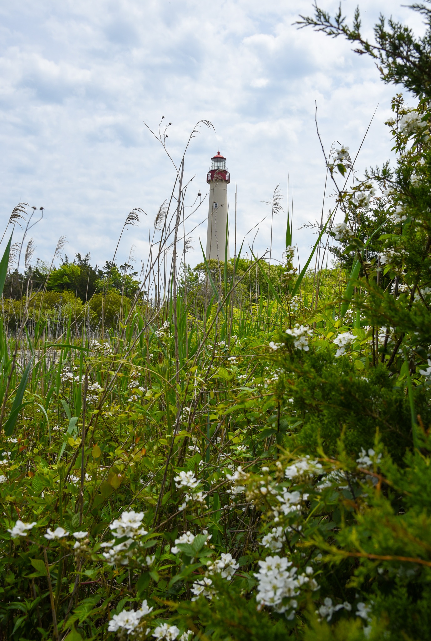 Cape May Lighthouse