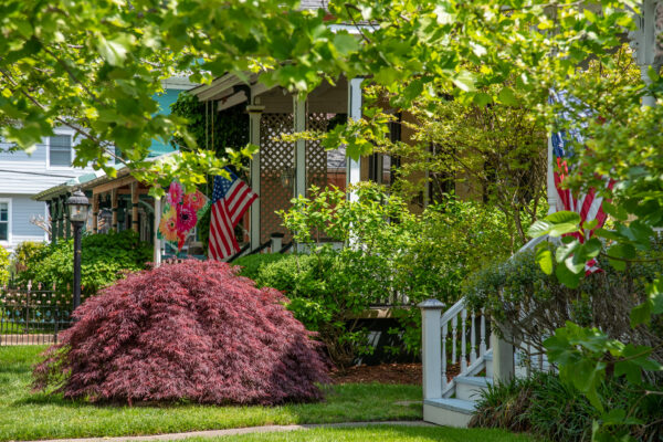 Homes along Broadway of their front yards and porches