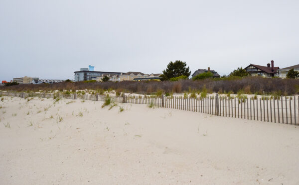 Reading Beach Dunes