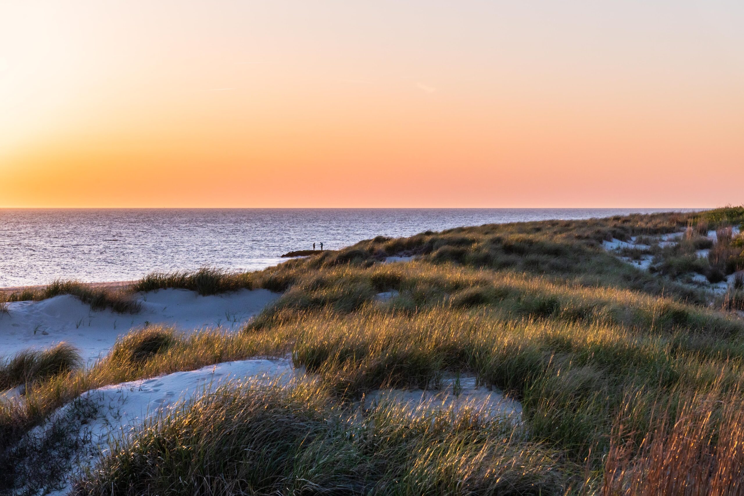 Sunset light shining on the beach dunes with two people in the distance standing on the rocks by the ocean with a pink and orange sky 