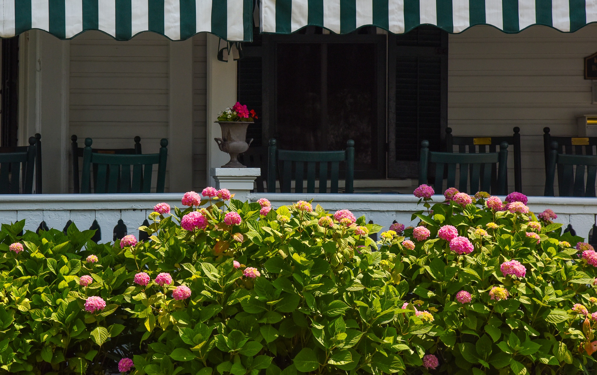 The Chalfonte Hotel front porch on a sunny day