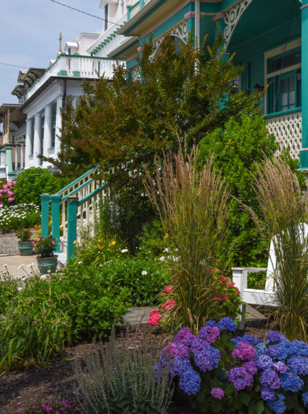 Front Garden on Stockton Avenue