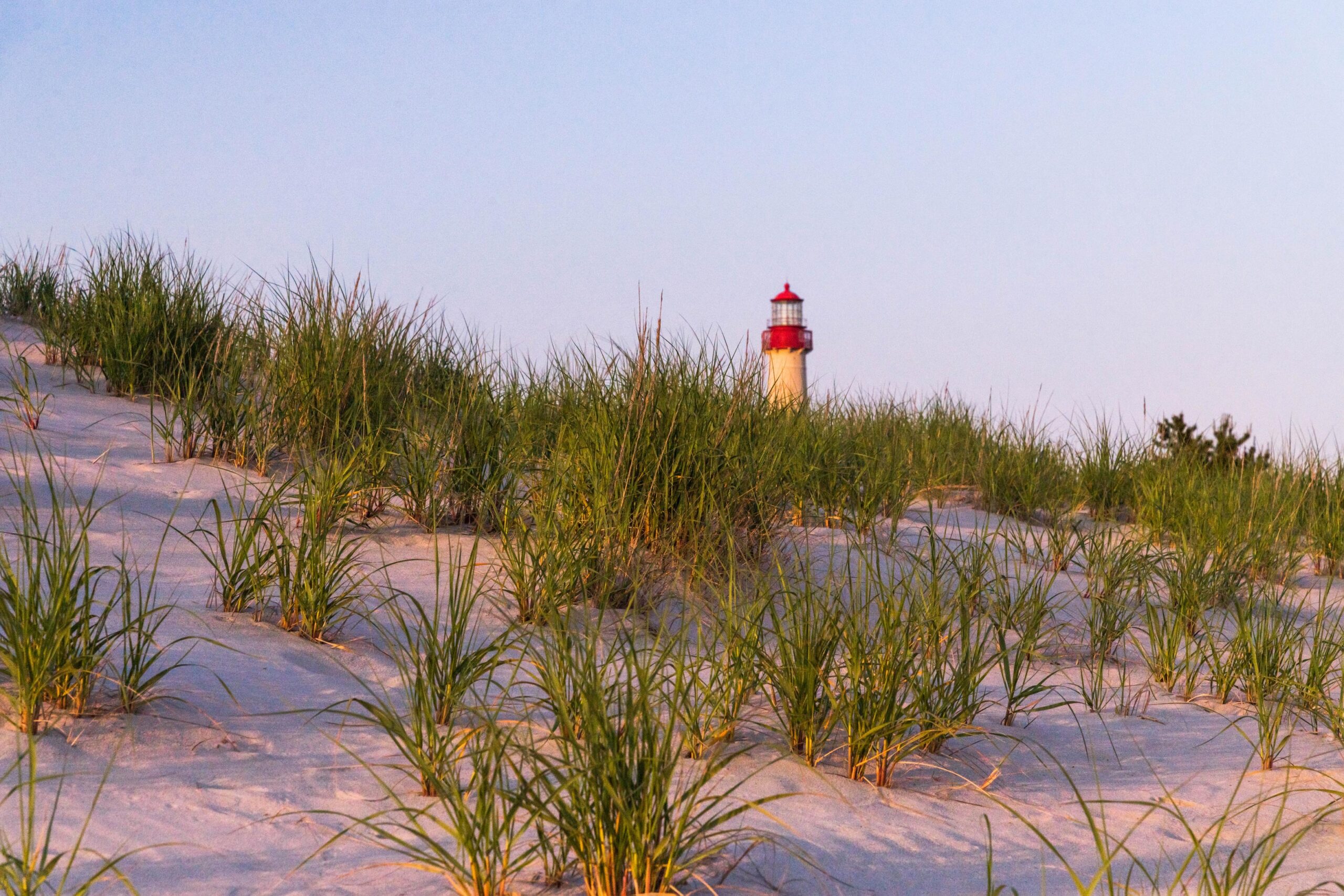 Green beach dunes with the Cape May Lighthouse in the distance and clear blue sky at sunset