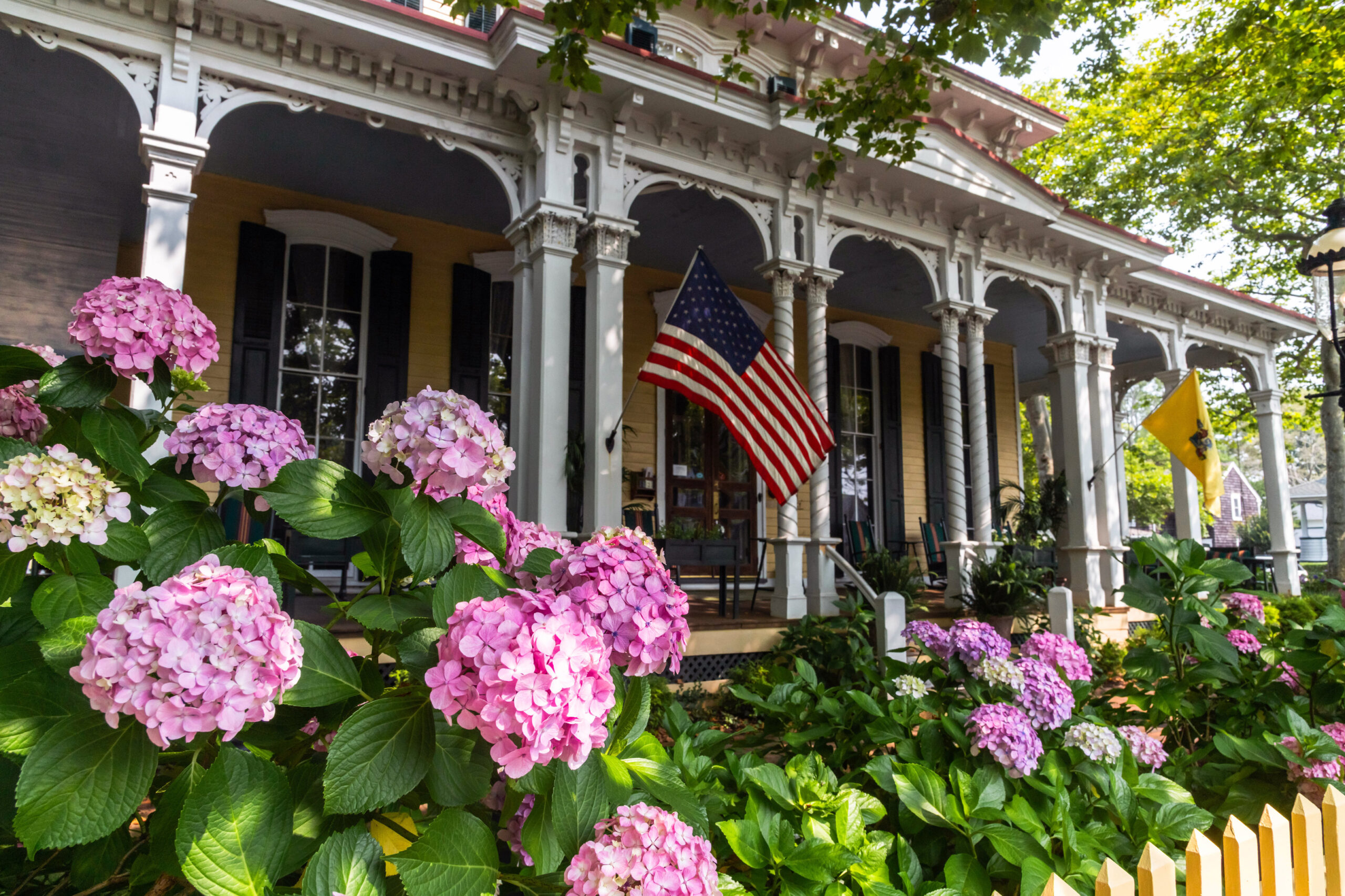 Pink hydrangea in front of the Mainstay Inn porch with an American Flag blowing in the wind