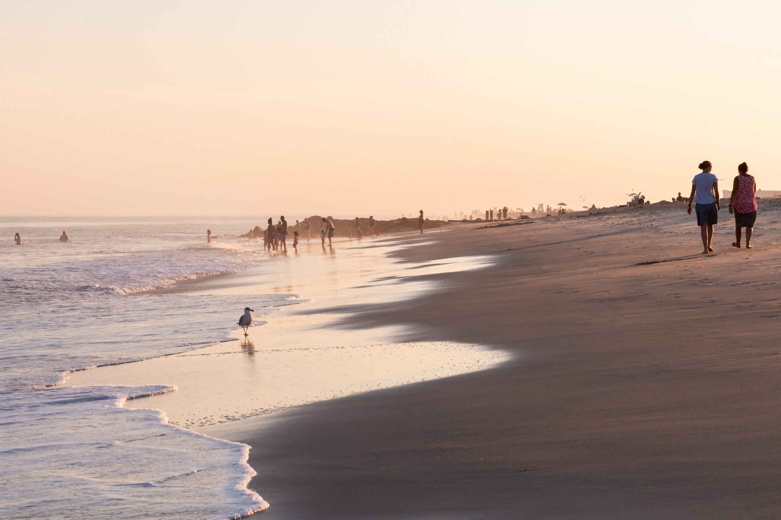 Two people walking on the beach with a seagull and people going into the ocean at sunset