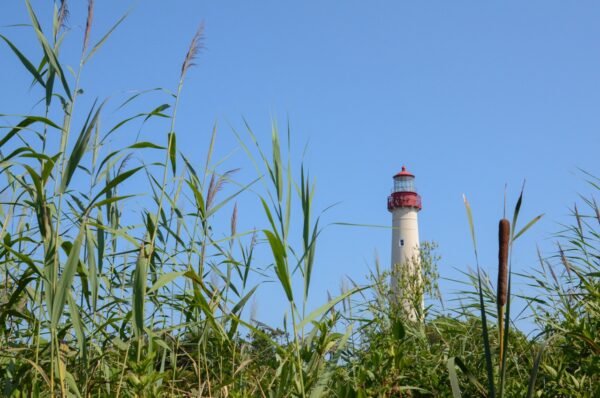 The Cape May Lighthouse