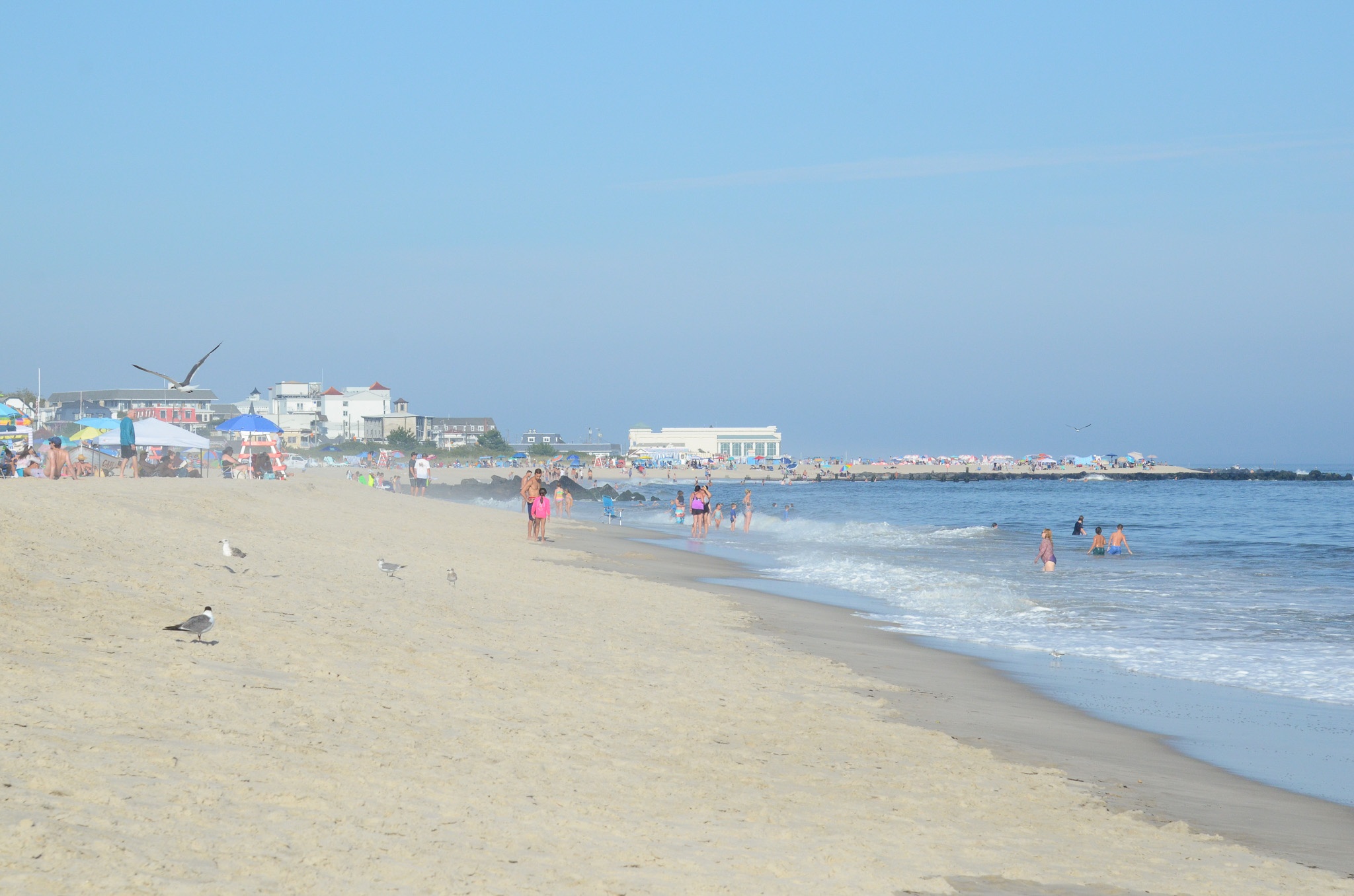 People are having a Beach Day