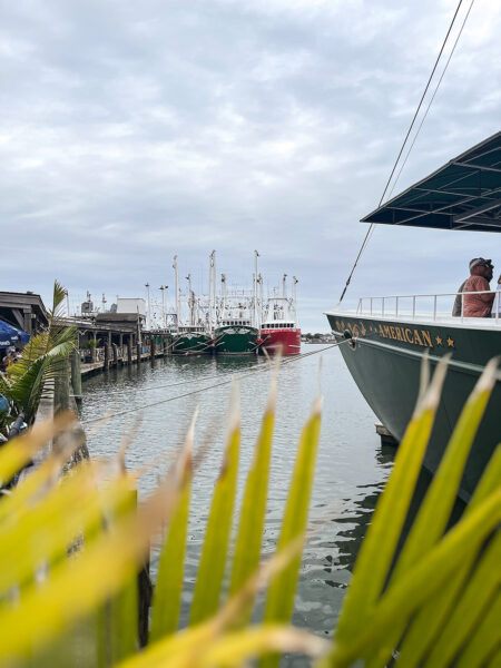 The Schooner and scalloping boats seen through greenery at the Lobster House