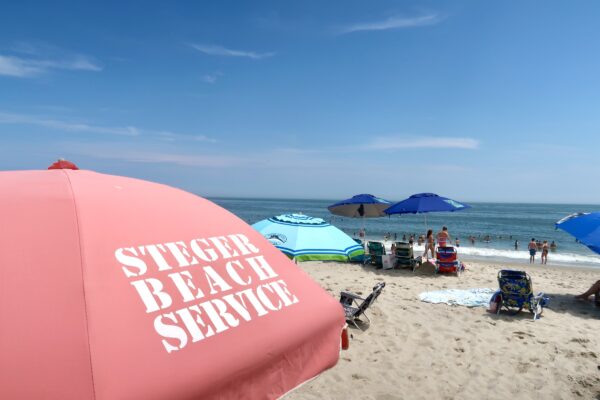 Steger Beach Service