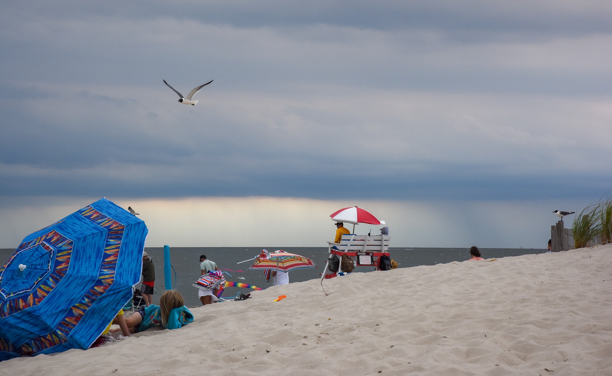Everyday Is A Beach Day at the cove with a storm coming and a seagull flying by.