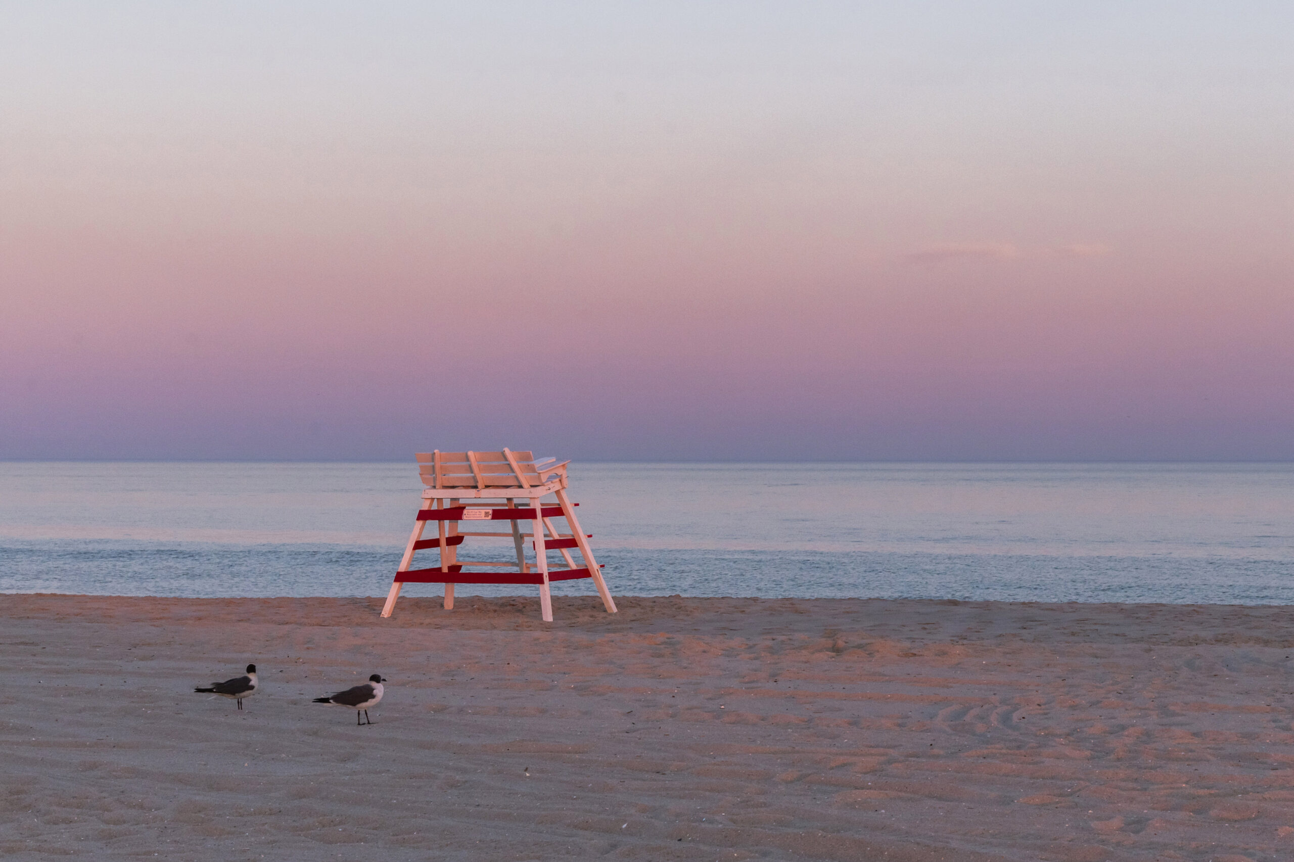 A Cape May lifeguard stand on the beach with two seagulls and a clear pink and blue sky at sunset