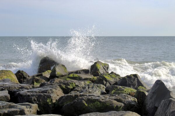 Splashing at Steger’s