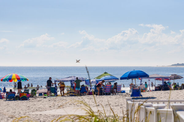 people on the beach with a seagull's Afternoon Fly By