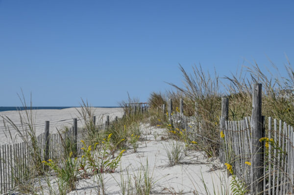 A Dune View just before the Rusty Nail.
