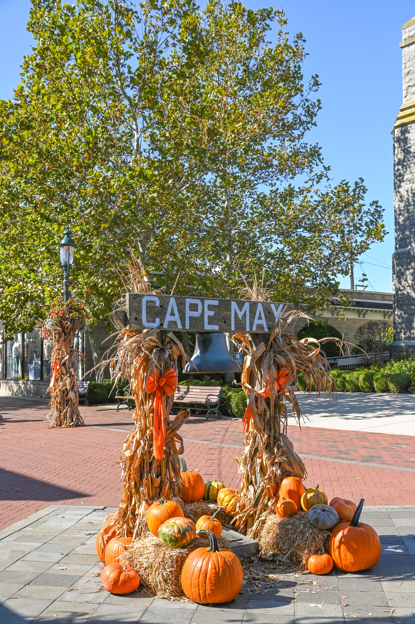 Pumpkins on the Mall