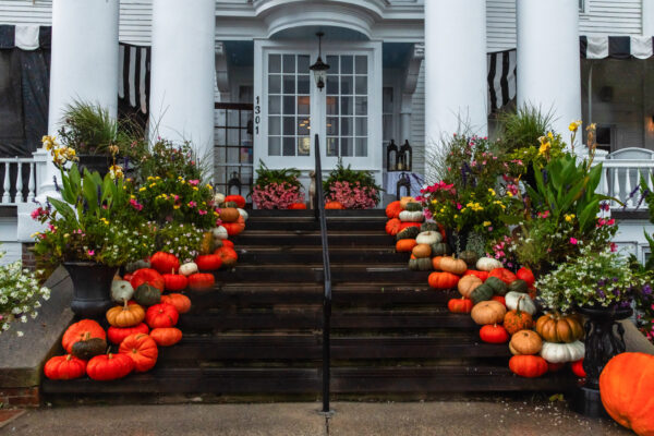 Pumpkin Path