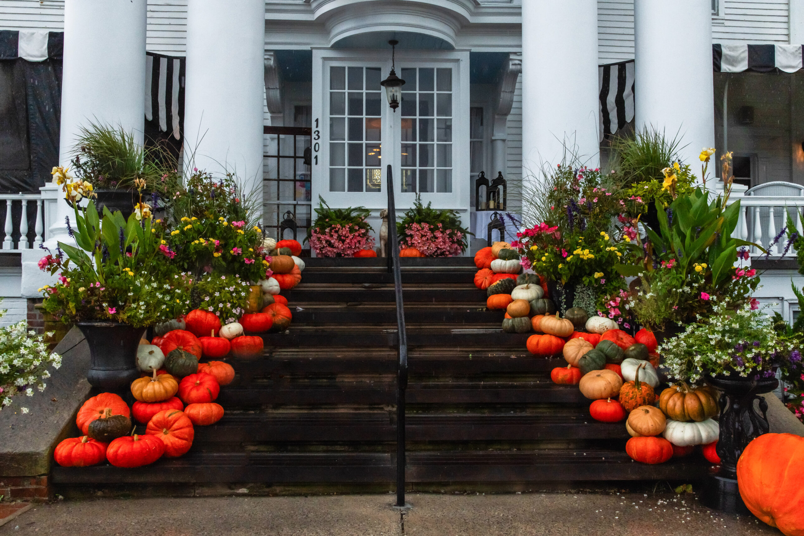 Piles of pumpkins framing the stairs leading up to the entrance of Peter Shield's Inn