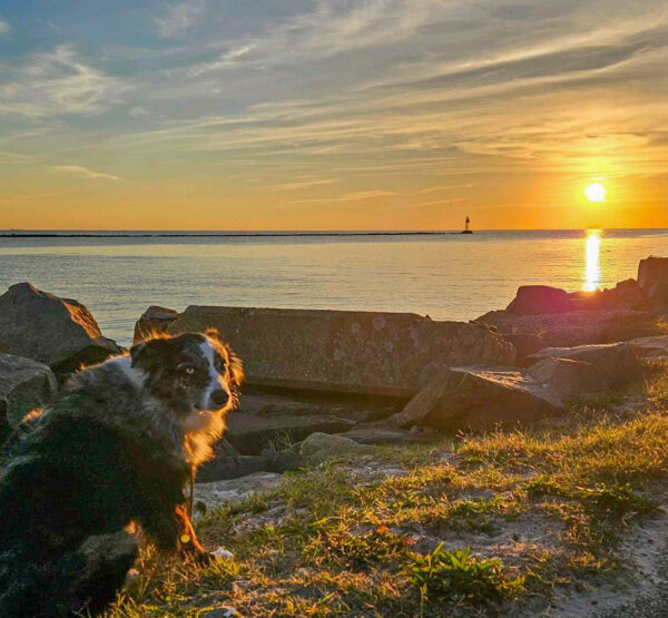 Enjoying The Sunset