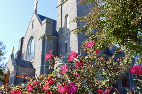 Flowers on Holy Ground