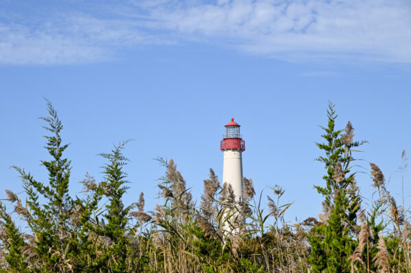 The Cape May Lighthouse