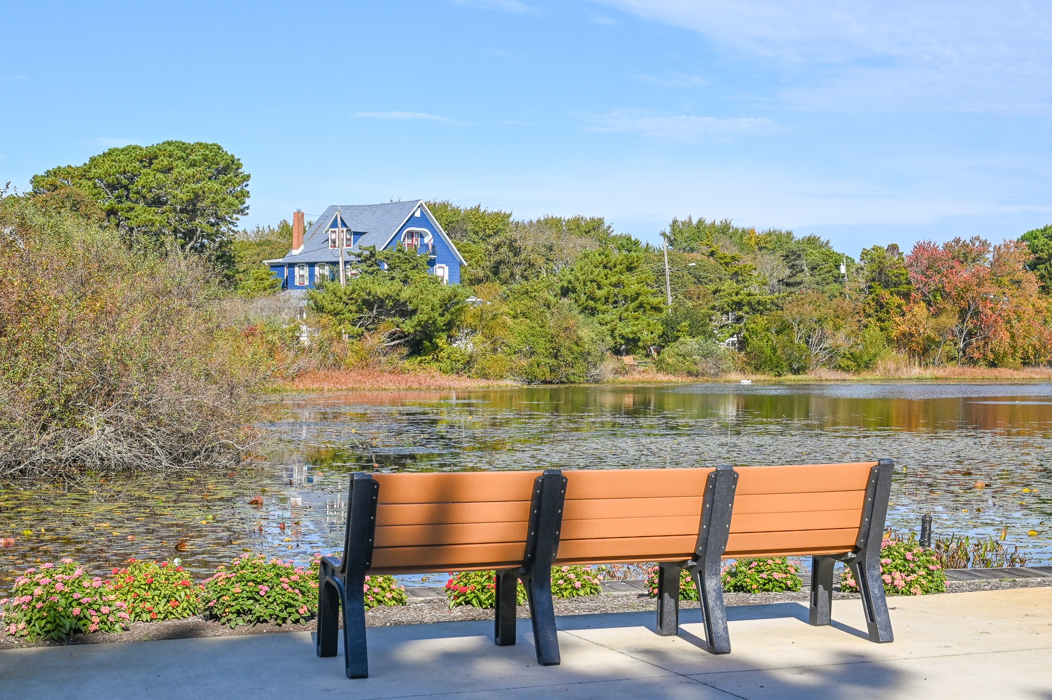 A Peaceful Spot to Sit at Lake Lily