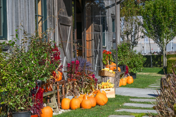 Fall Vibes at Beach Plum Farm