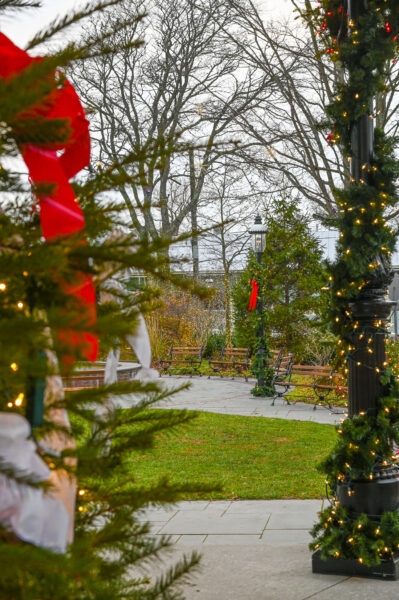 Twinkling Lights at Rotary Park