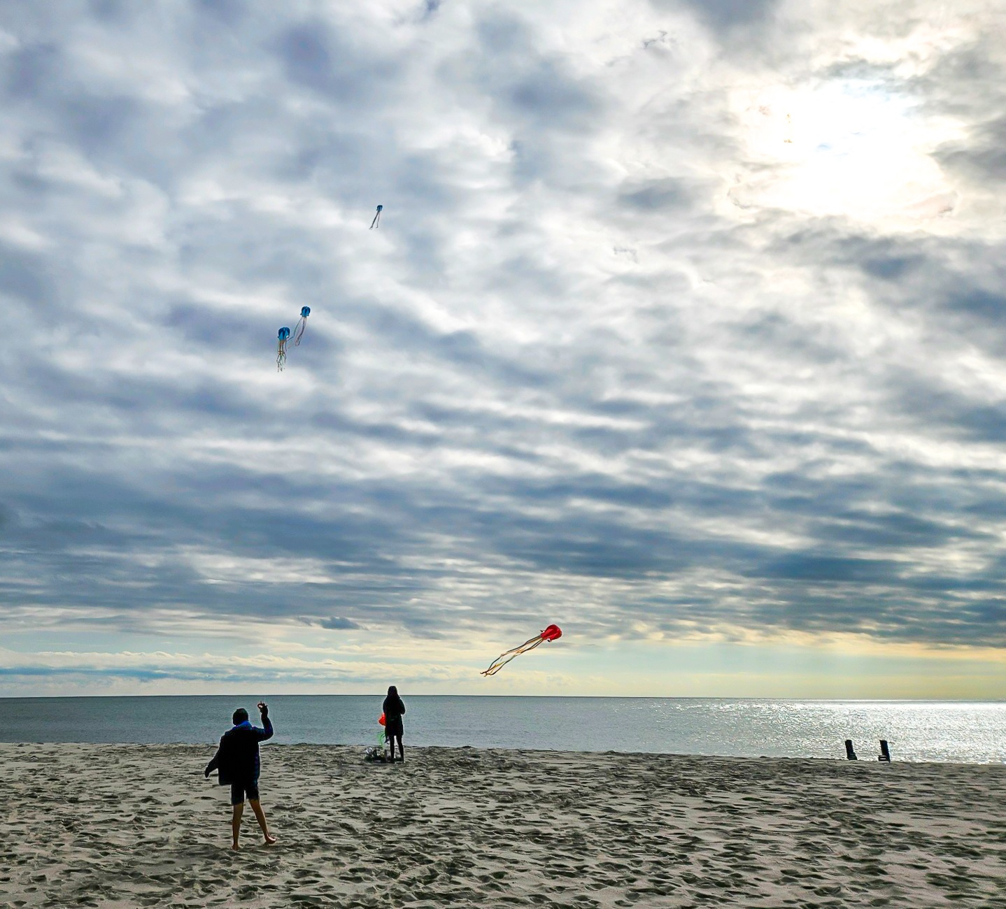 Enjoying the Day flying kites on the beach