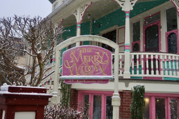 Snow Over The Merry Widow