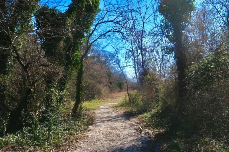 Higbee Beach paths in the winter