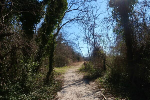 Woodsy Winter Walk at Higbee Beach