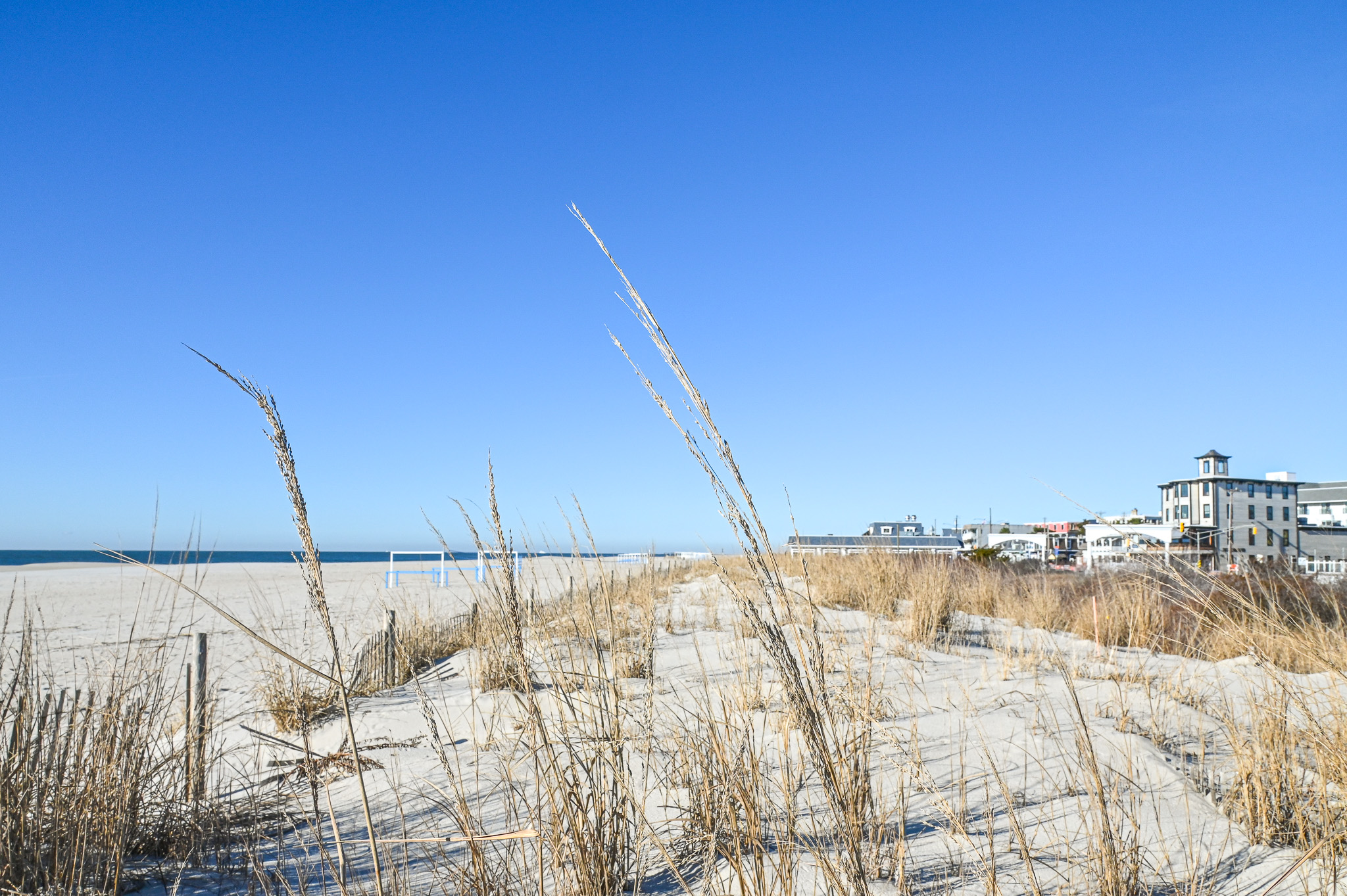 Beach Ave. Dunes on a sunny day