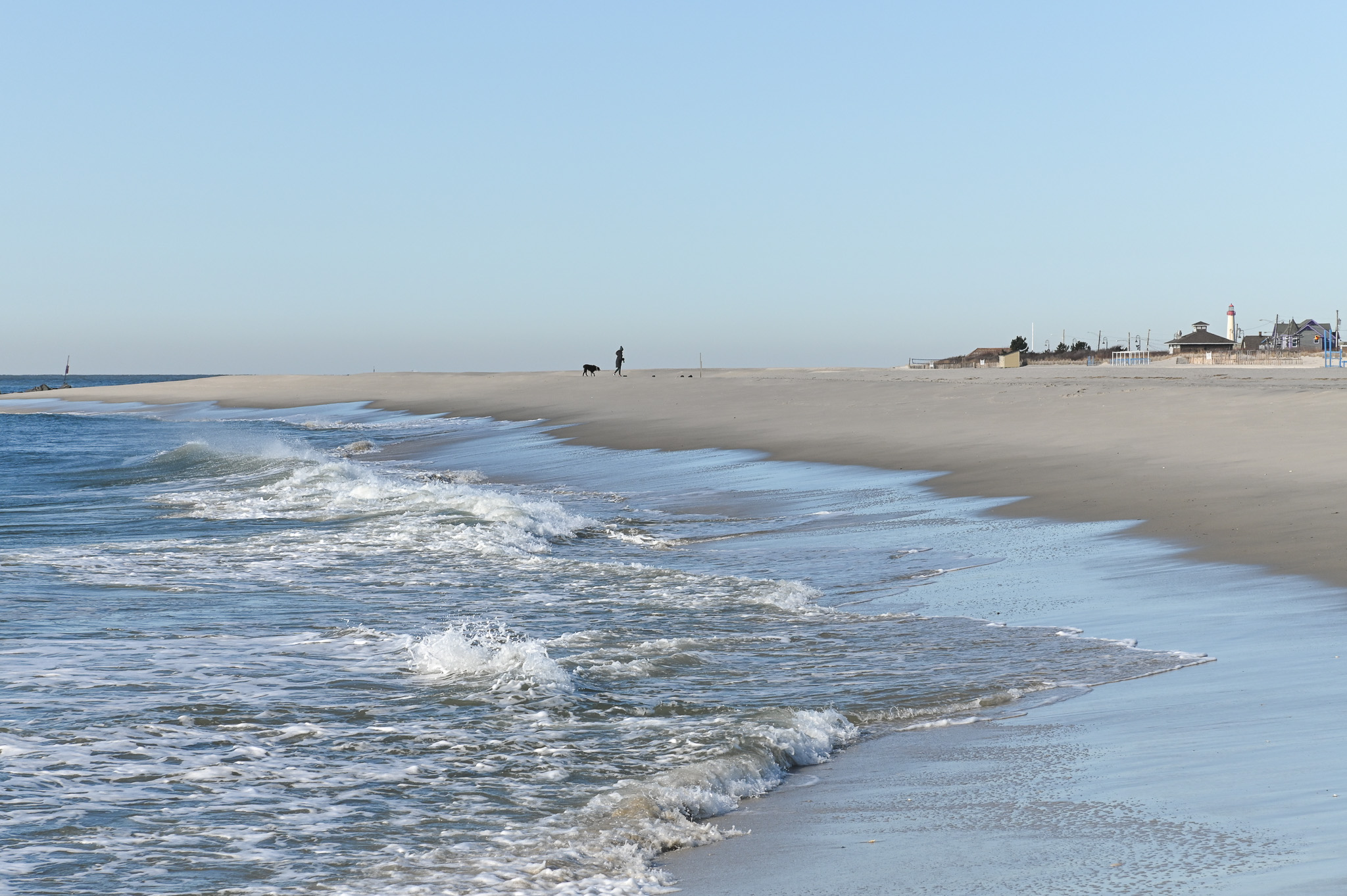 A person and their pup on the beach in the winter