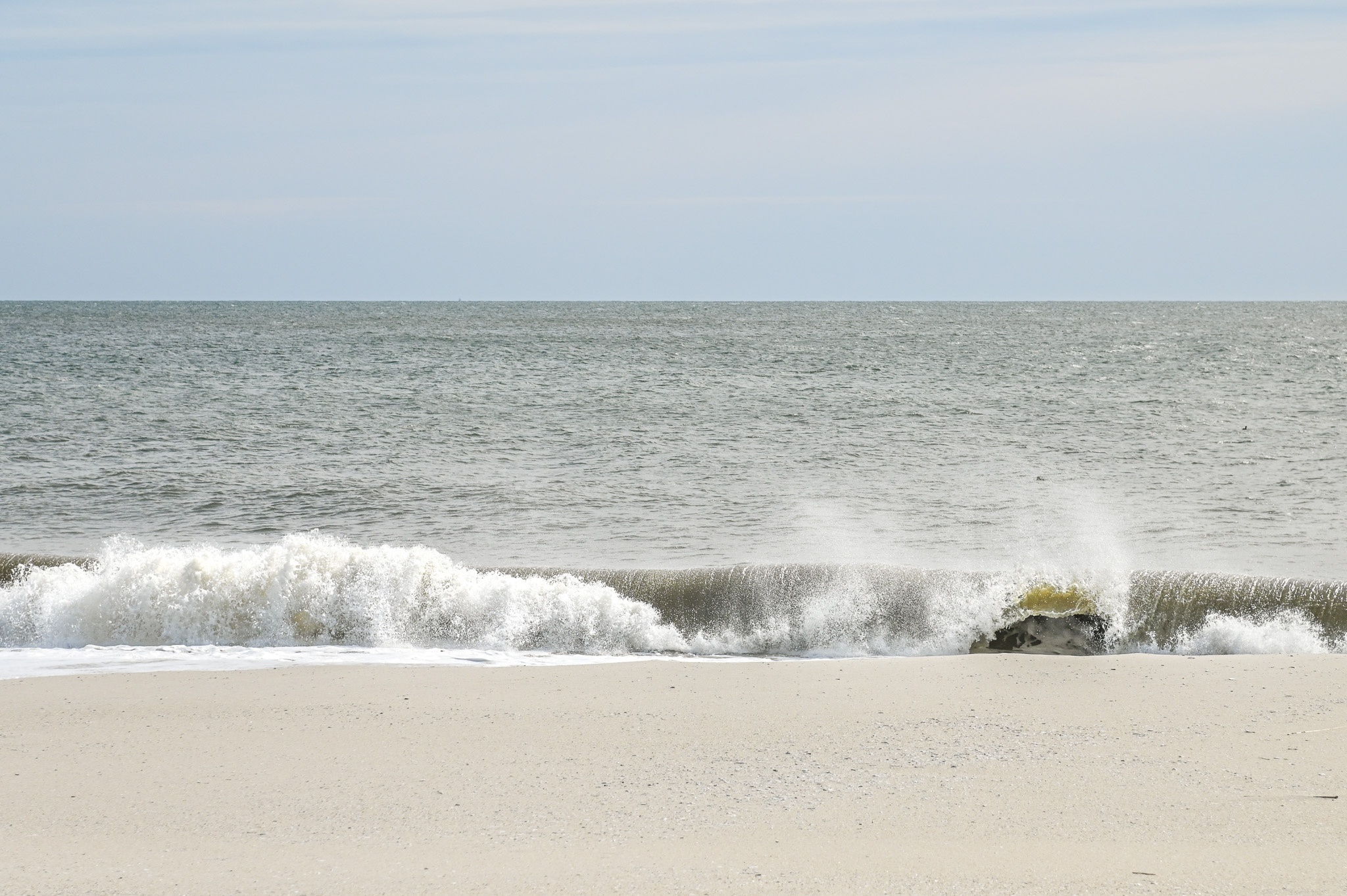 I Spy Two Ducks in the ocean to the right.