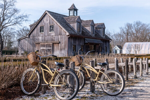 A Bike Ride to the Farm