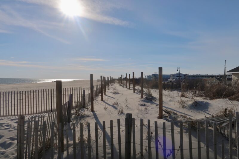 The dunes at Grant Street Beach