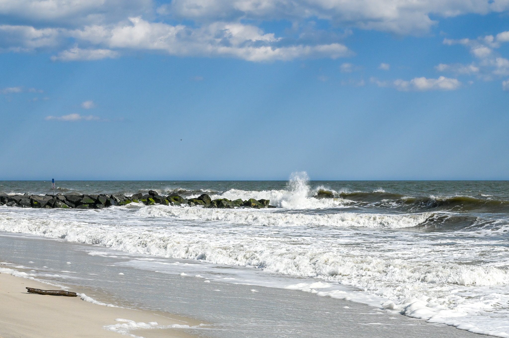 Driftwood & Waves