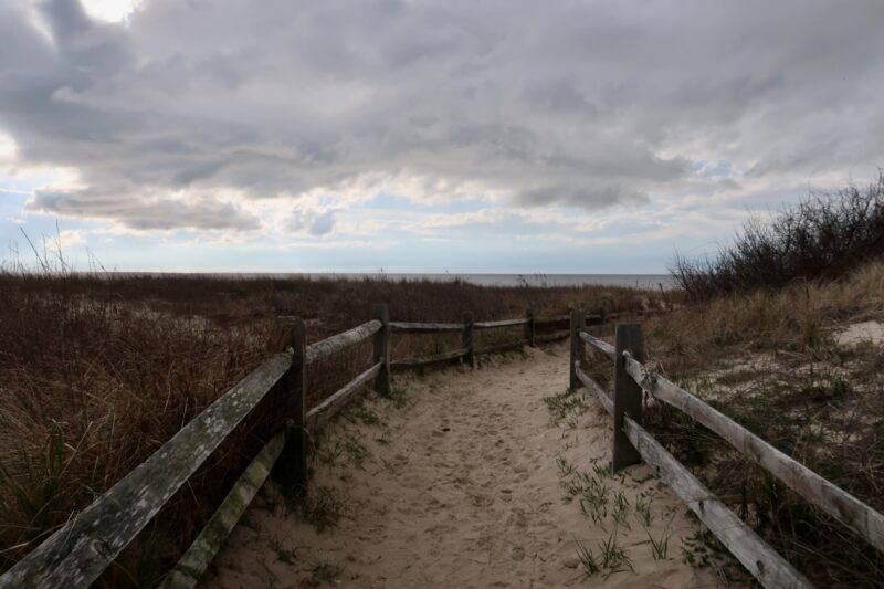 Sandy walking path to the Delaware Bay