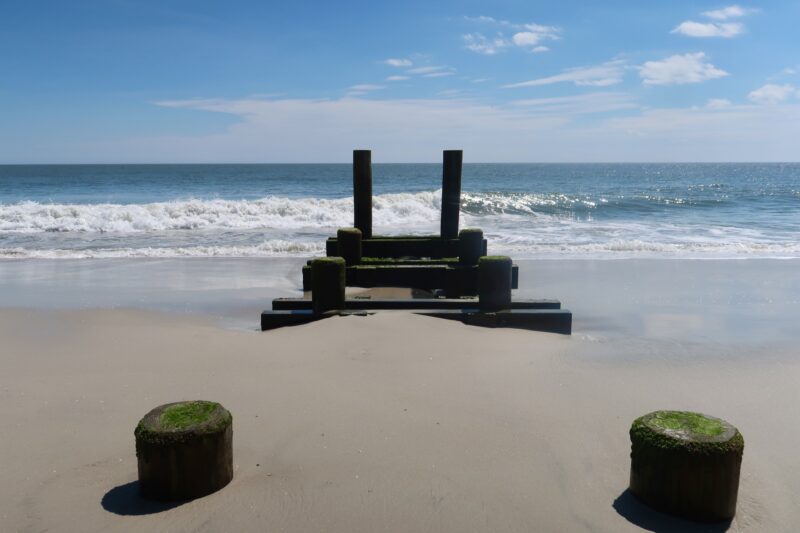 Wooden posts on the beach