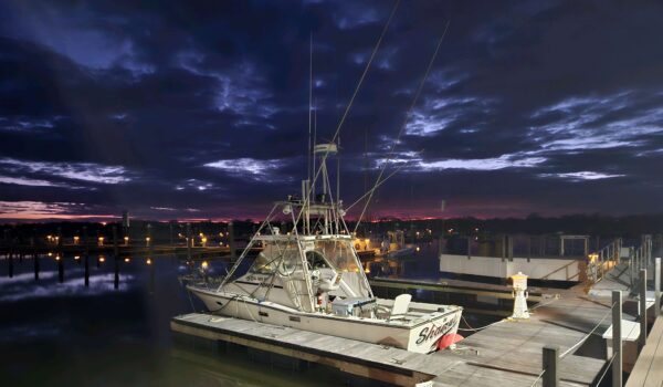 Alone at the Docks at sunset