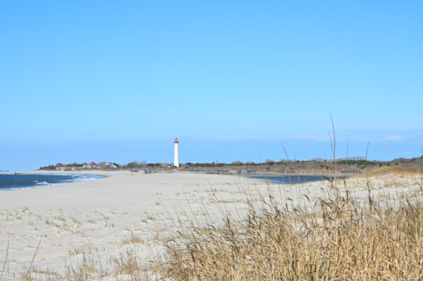 A View From The Cove of the beach, Cape May Light House, the WWII Bunker, and the Science Center.