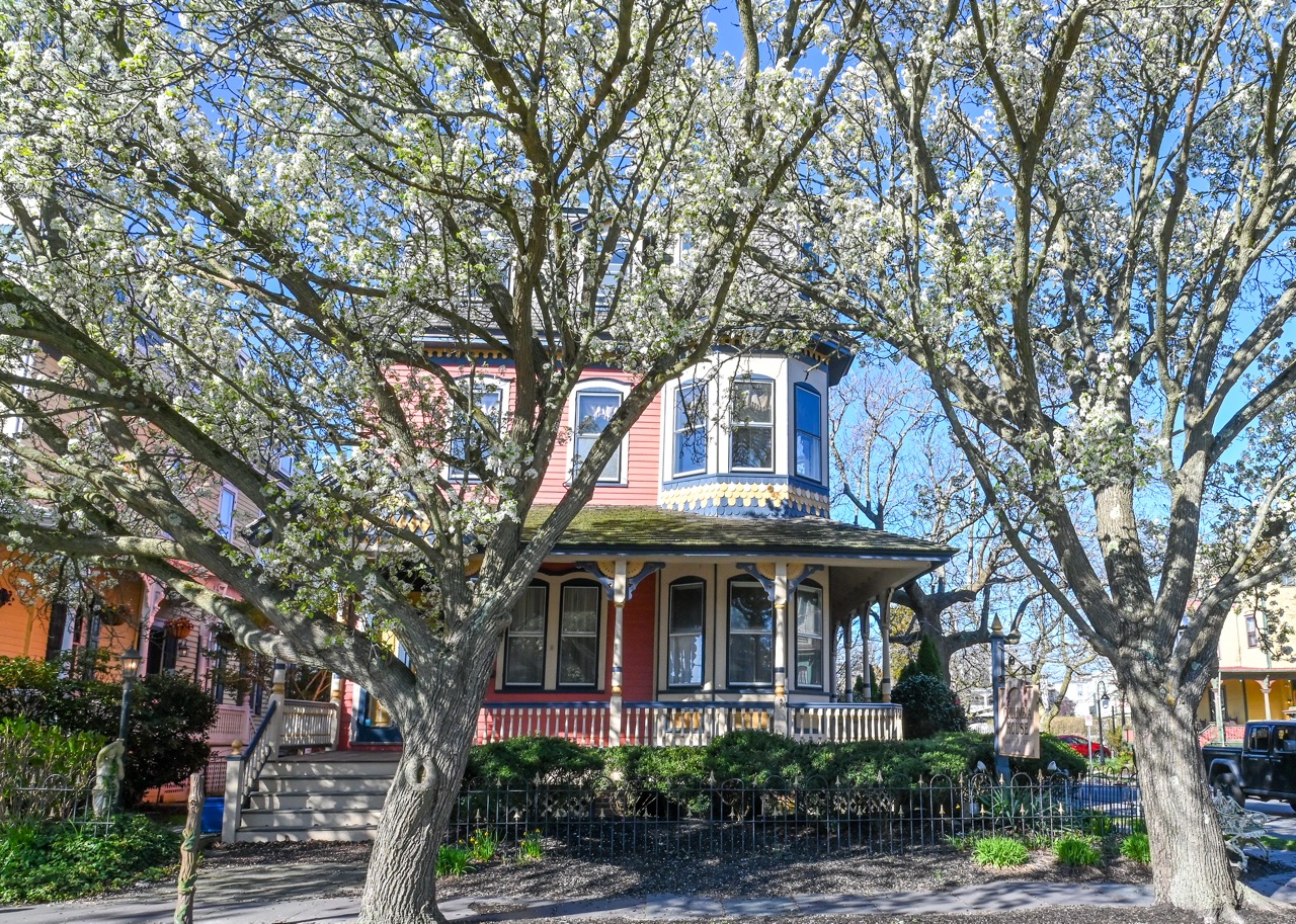 The Columbia House with the tree in bloom