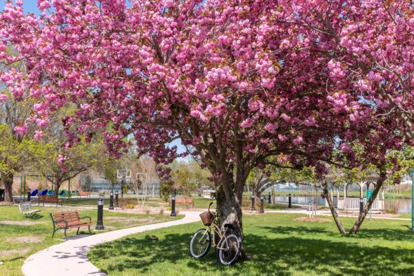 Colorful Day at Kiwanis Community Park